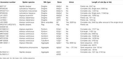 Recombinant Spider Silk: Promises and Bottlenecks